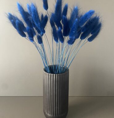 Dried Lagurus, dark blue - Dried flowers - Bunny Tails - Preserved velvety soft grasses for natural decoration