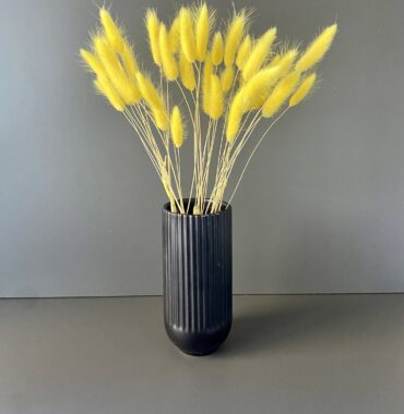 Lagurus dried yellow - Bunny Tails - Preserved velvety soft grasses for natural decoration