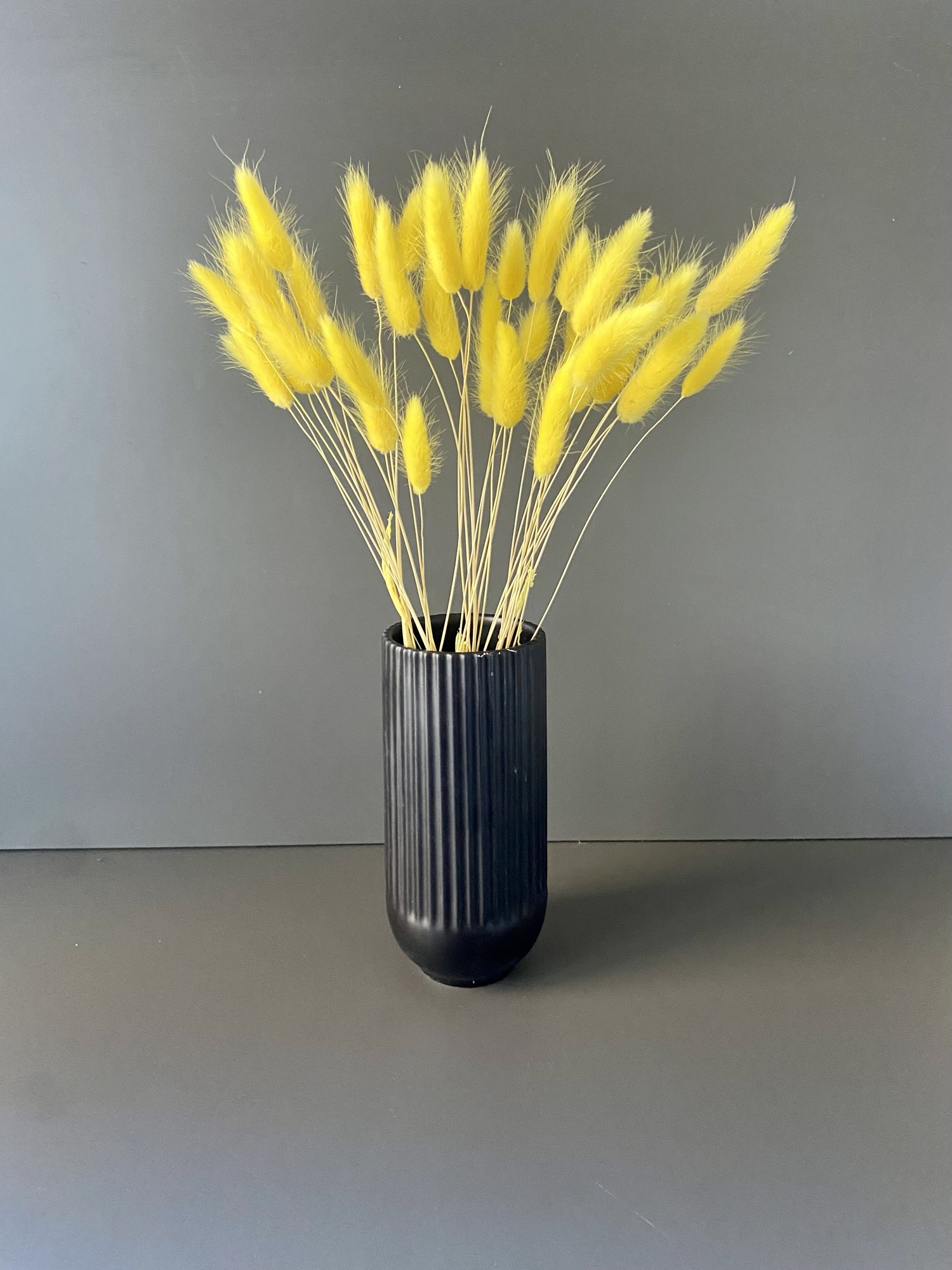 Lagurus getrocknet gelb – Trockenbumen – Bunny Tails – Konservierte samtig weiche Gräser für natürliche Dekoration