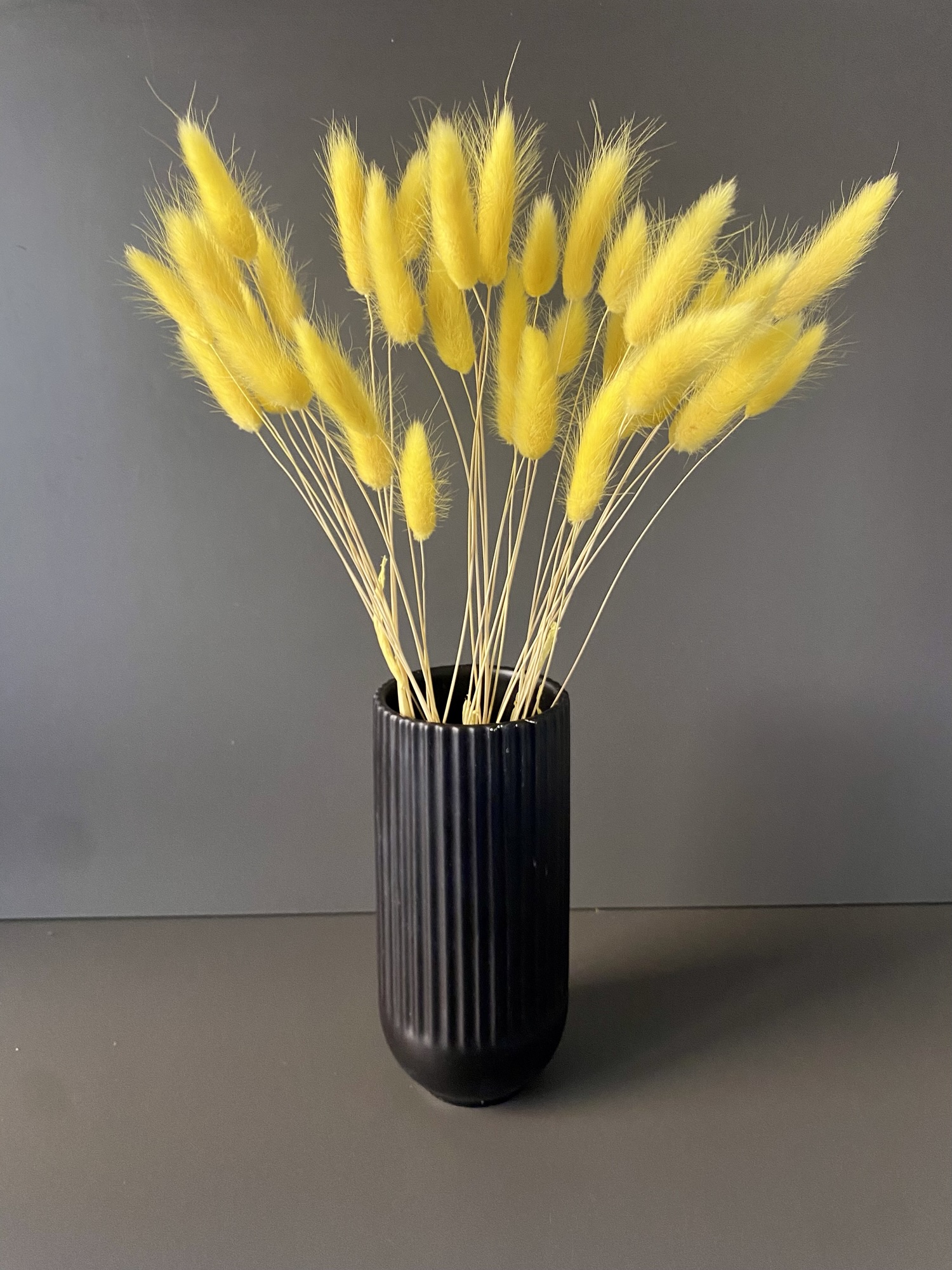 Lagurus getrocknet gelb – Trockenbumen – Bunny Tails – Konservierte samtig weiche Gräser für natürliche Dekoration – Bild 2