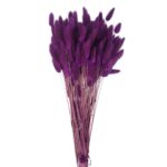 Samtgras (Bunny Tails) dekorativ in Vase arrangiert – Boho-Deko