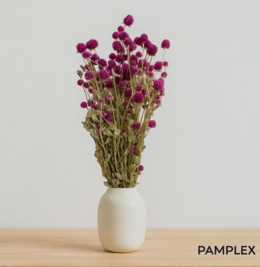 Gomphrena getrocknet, Pink – Trockenblumen für Strauß oder Vase