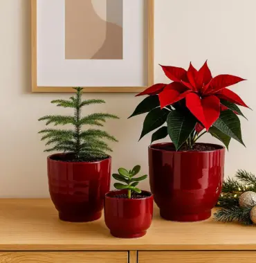 Roter Blumentopf – Weihnachtsdeko - Pflanztopf für Weihnachtsstern - Übertopf Keramik