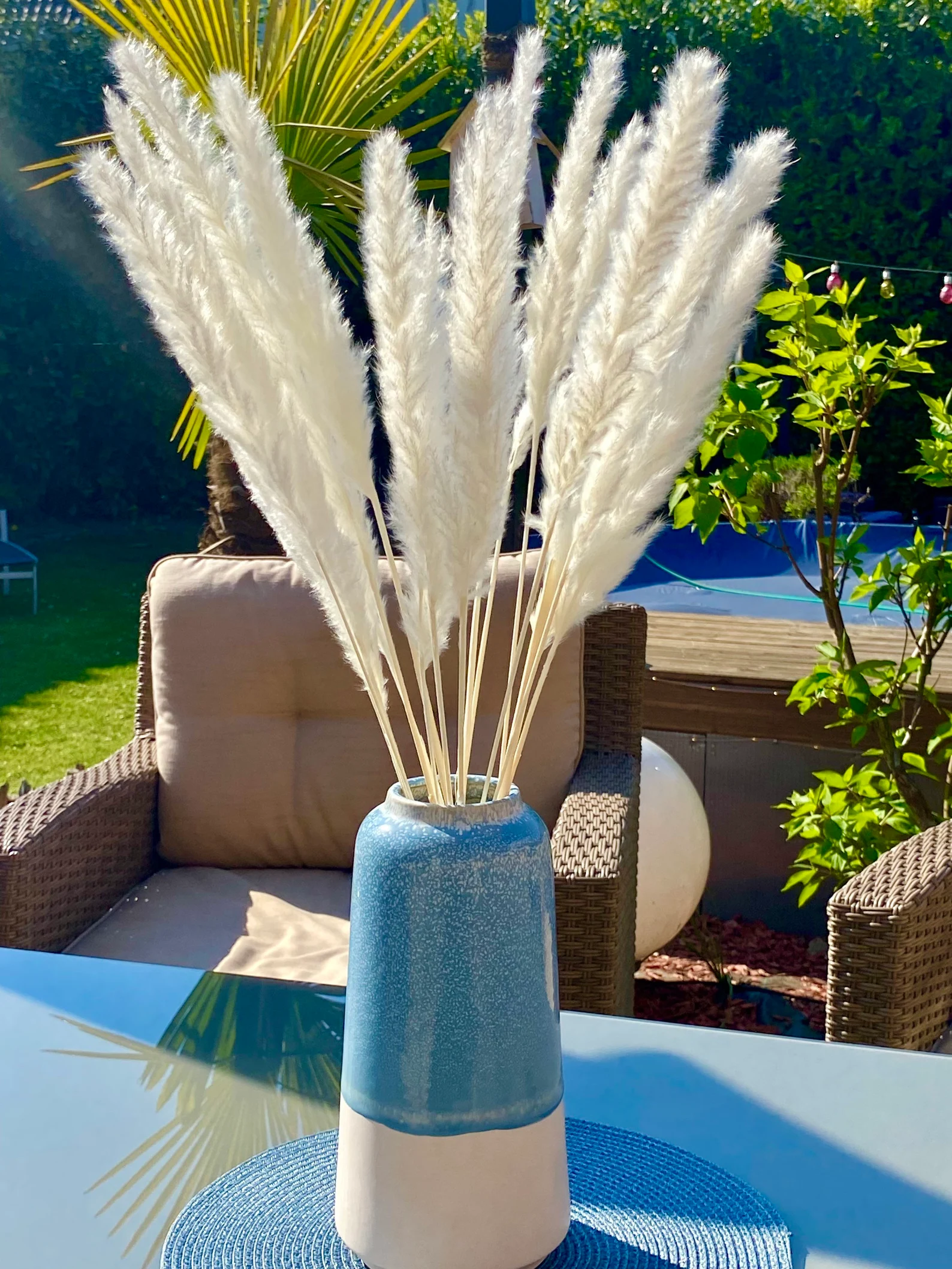Pampasgras Weiß getrocknet – Naturdekoration - 10 Stiele – Bild 2